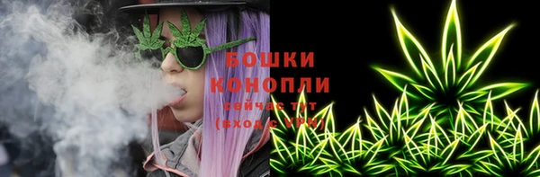 дурь Покачи