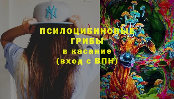 СК Покровск