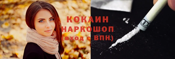 дурь Покачи
