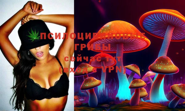 мяу мяу мука Заводоуковск