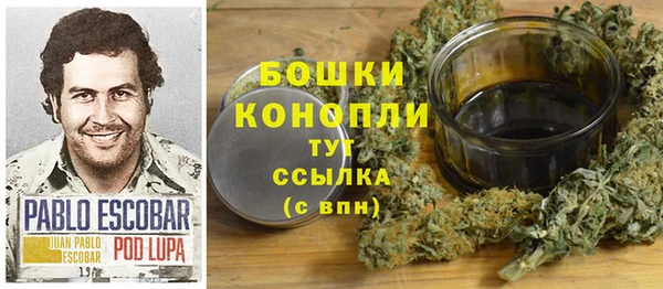 дурь Покачи